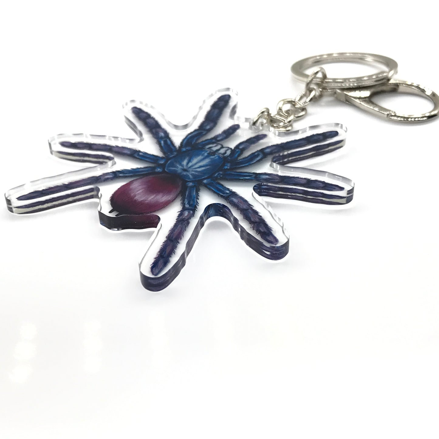 Indian Rainbow Tarantula, Cilantica Devamatha Acrylic Keychain