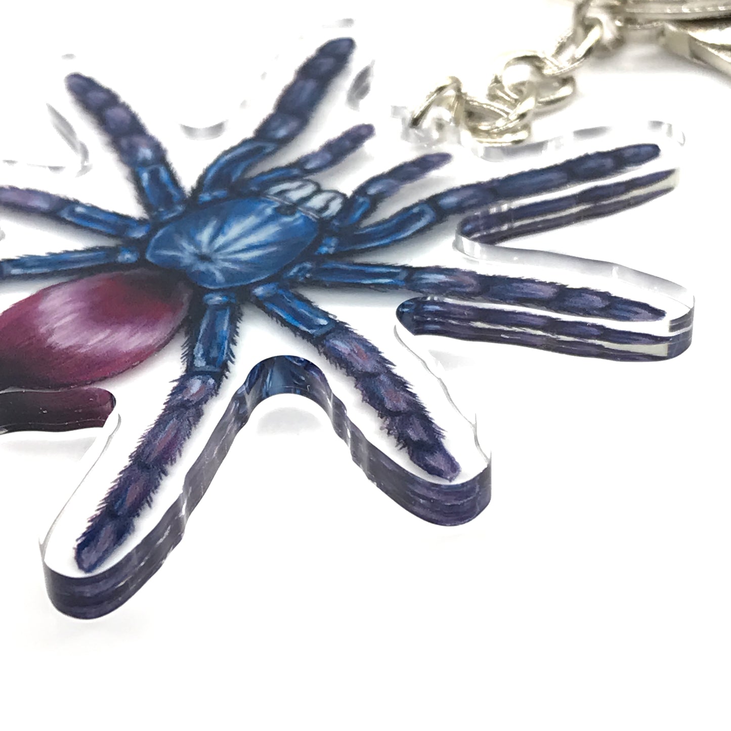 Indian Rainbow Tarantula, Cilantica Devamatha Acrylic Keychain