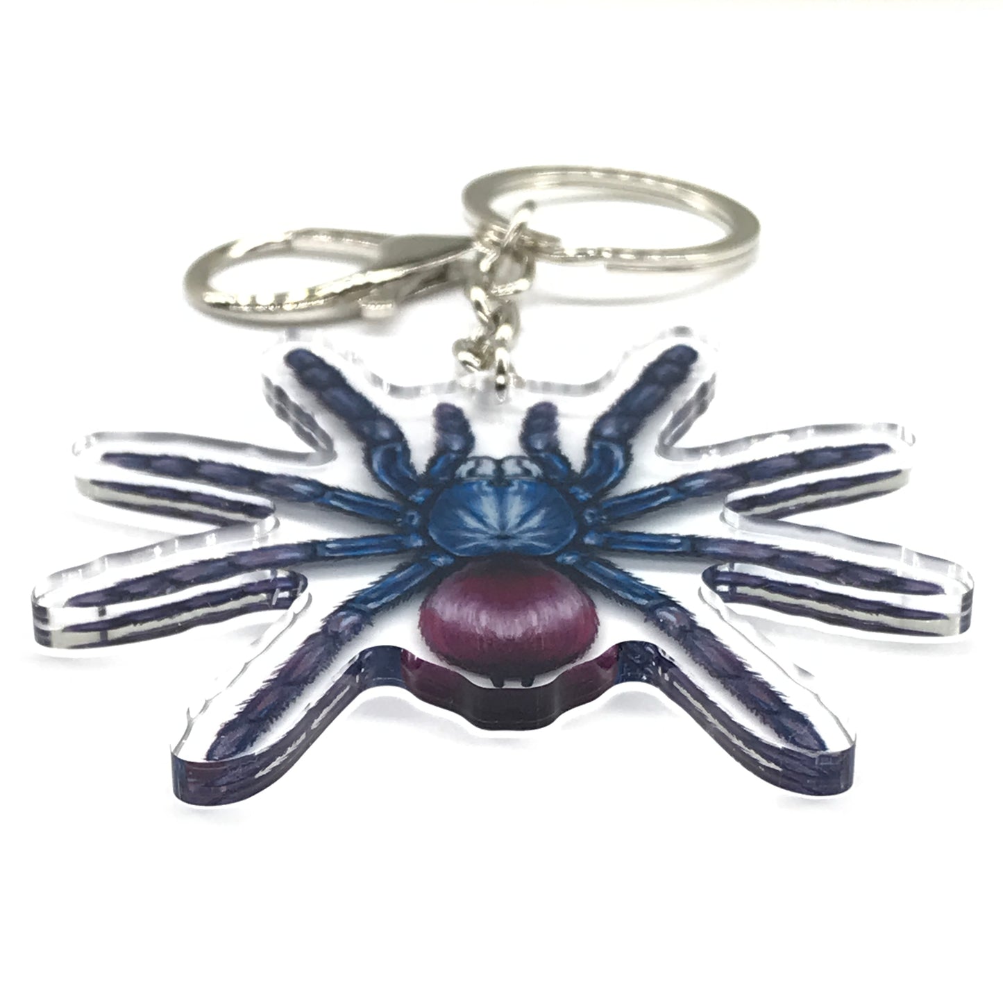 Indian Rainbow Tarantula, Cilantica Devamatha Acrylic Keychain