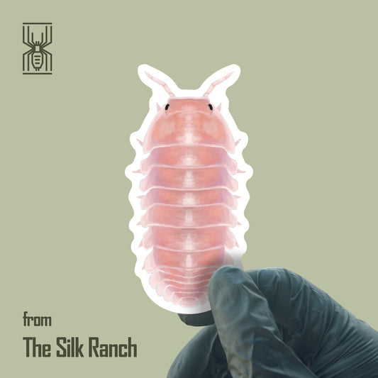 Cherry Blossom Isopod Sticker, Cubaris Sp. Cherry Blossom Waterproof Vinyl Sticker