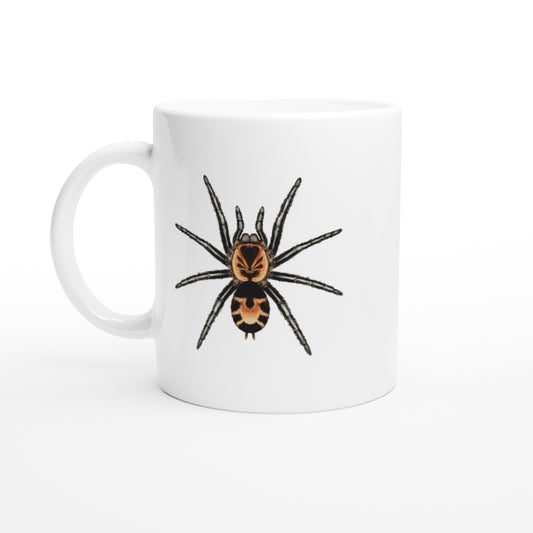 Columbian Dwarf Tarantula, Cyriocosmus Leetzi, Ceramic Graphic Mug