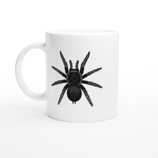 Brazilian Black Tarantula, Grammostola Pulchra, Ceramic Graphic Mug