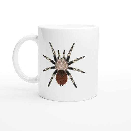 Brazilian Red And Black Tarantula, Vitalius Chromatus, Ceramic Graphic Mug