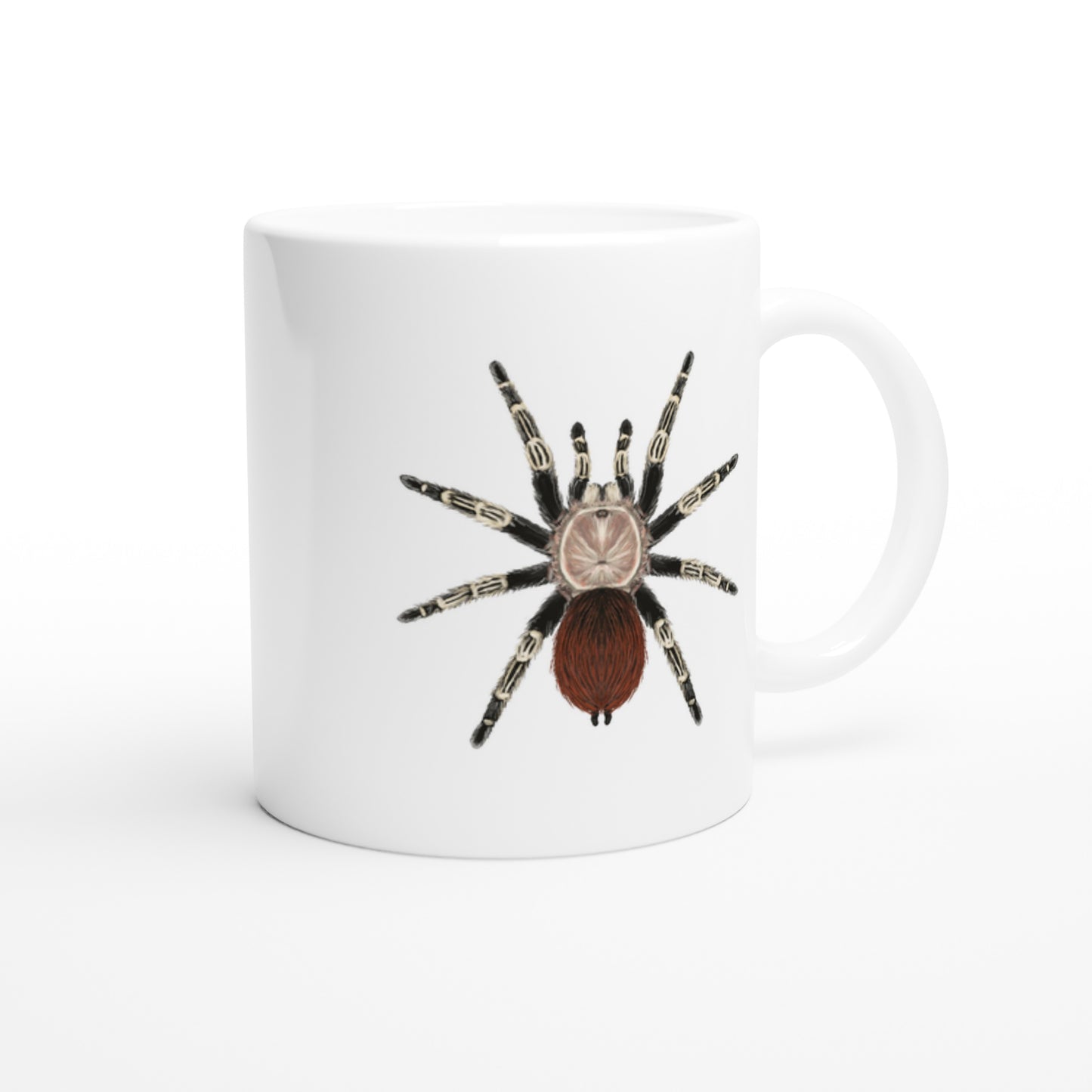 Brazilian Red And Black Tarantula, Vitalius Chromatus, Ceramic Graphic Mug
