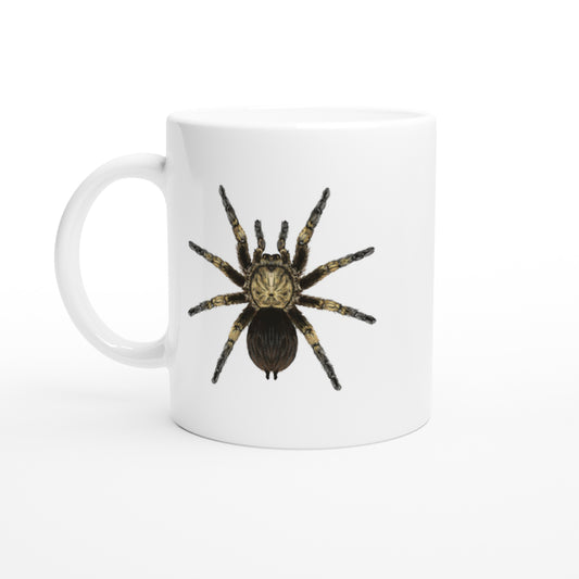 Cuban Bronze Tarantula, Phormictopus Auratus, Ceramic Graphic Mug