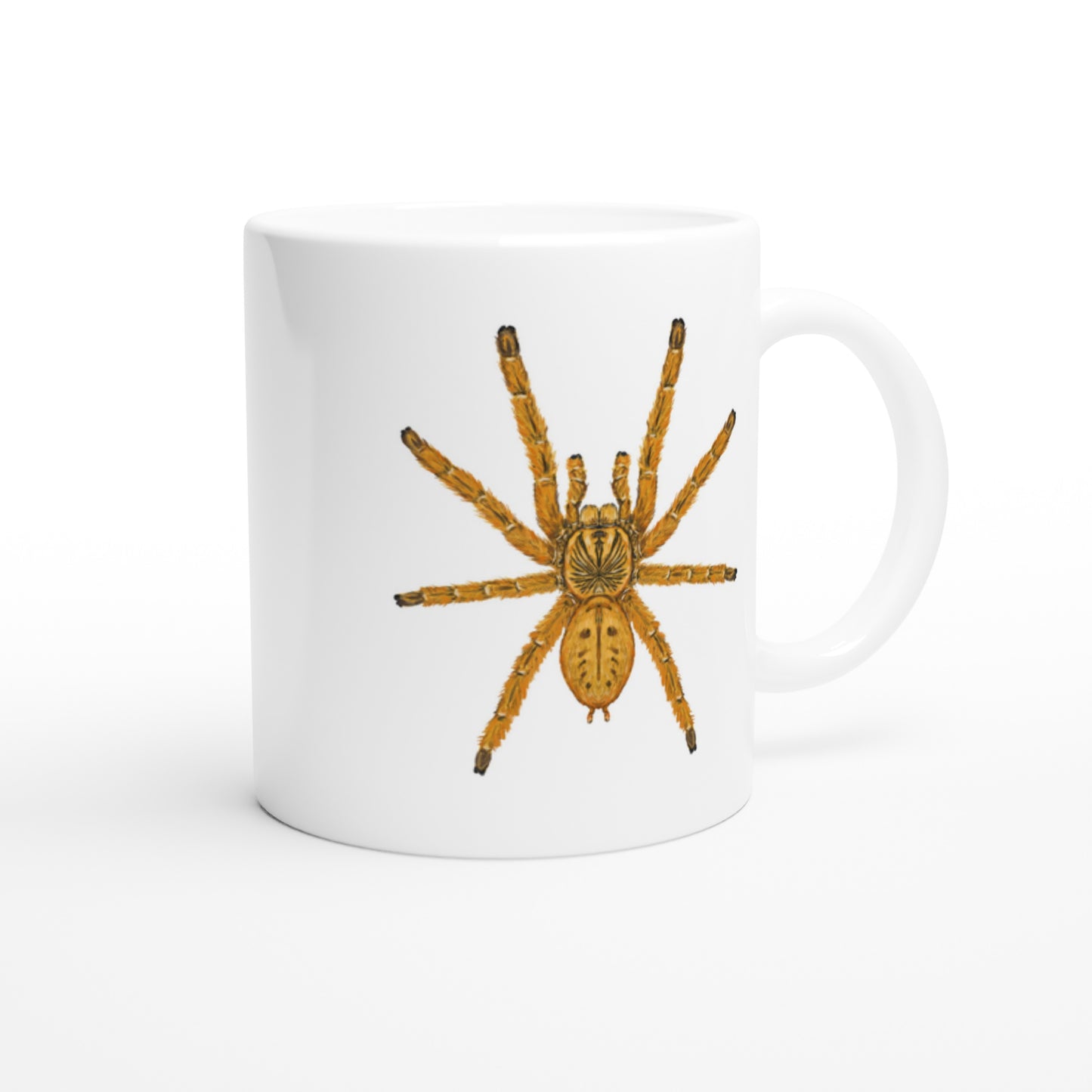 Orange Baboon Tarantula, Pterinochilus Murinus, Ceramic Graphic Mug from The Silk Ranch