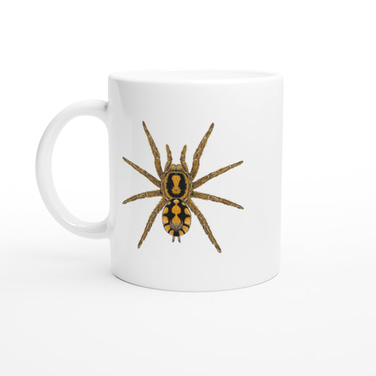 Pumpkin Patch Tarantula, Hapalopus Formosus, Ceramic Graphic Mug from The Silk Ranch