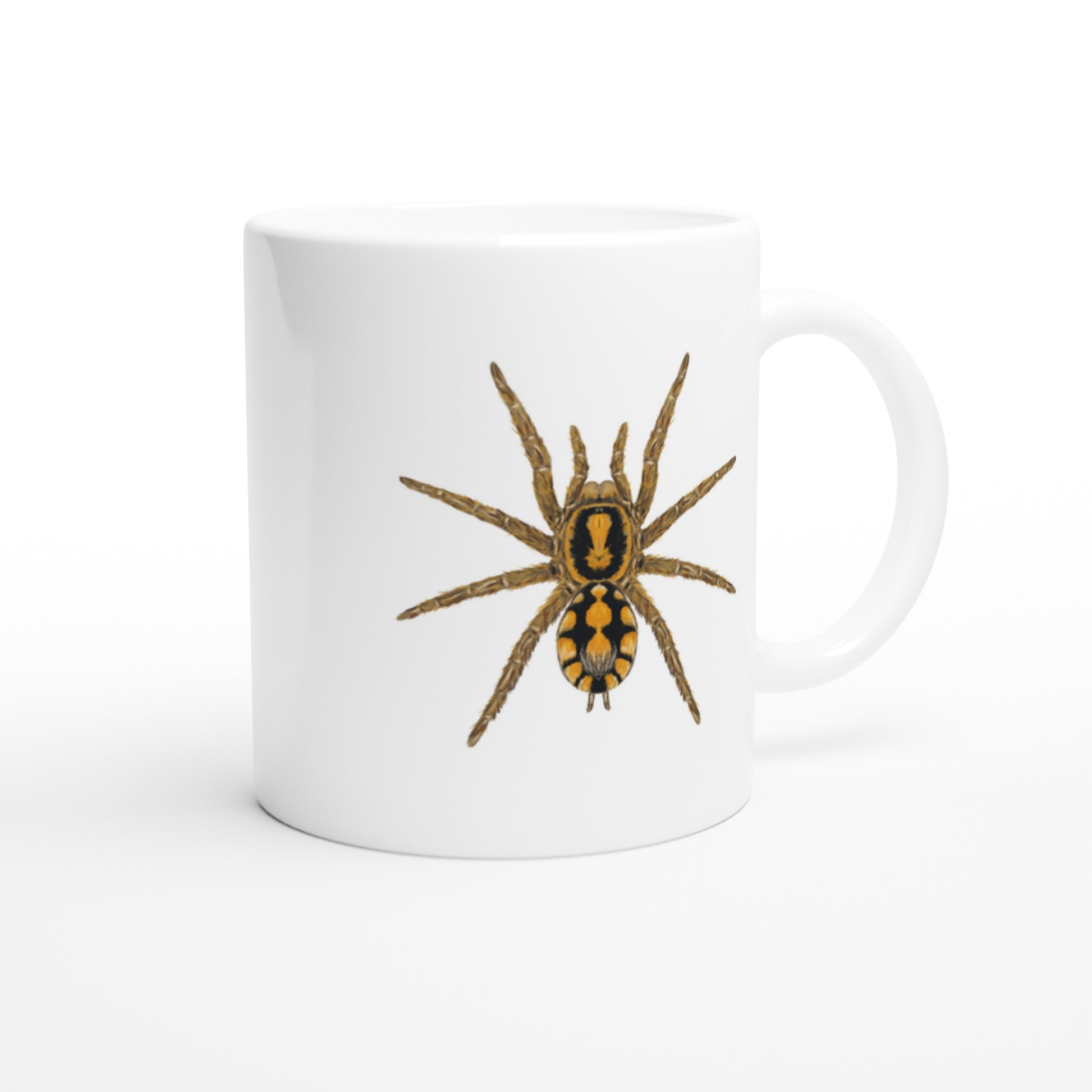 Pumpkin Patch Tarantula, Hapalopus Formosus, Ceramic Graphic Mug from The Silk Ranch