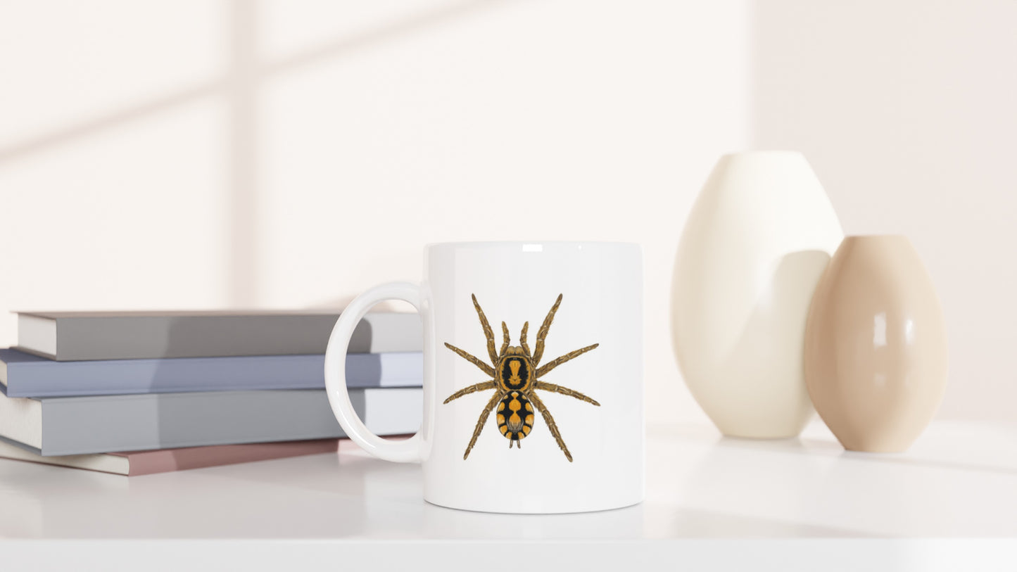 Pumpkin Patch Tarantula, Hapalopus Formosus, Ceramic Graphic Mug from The Silk Ranch