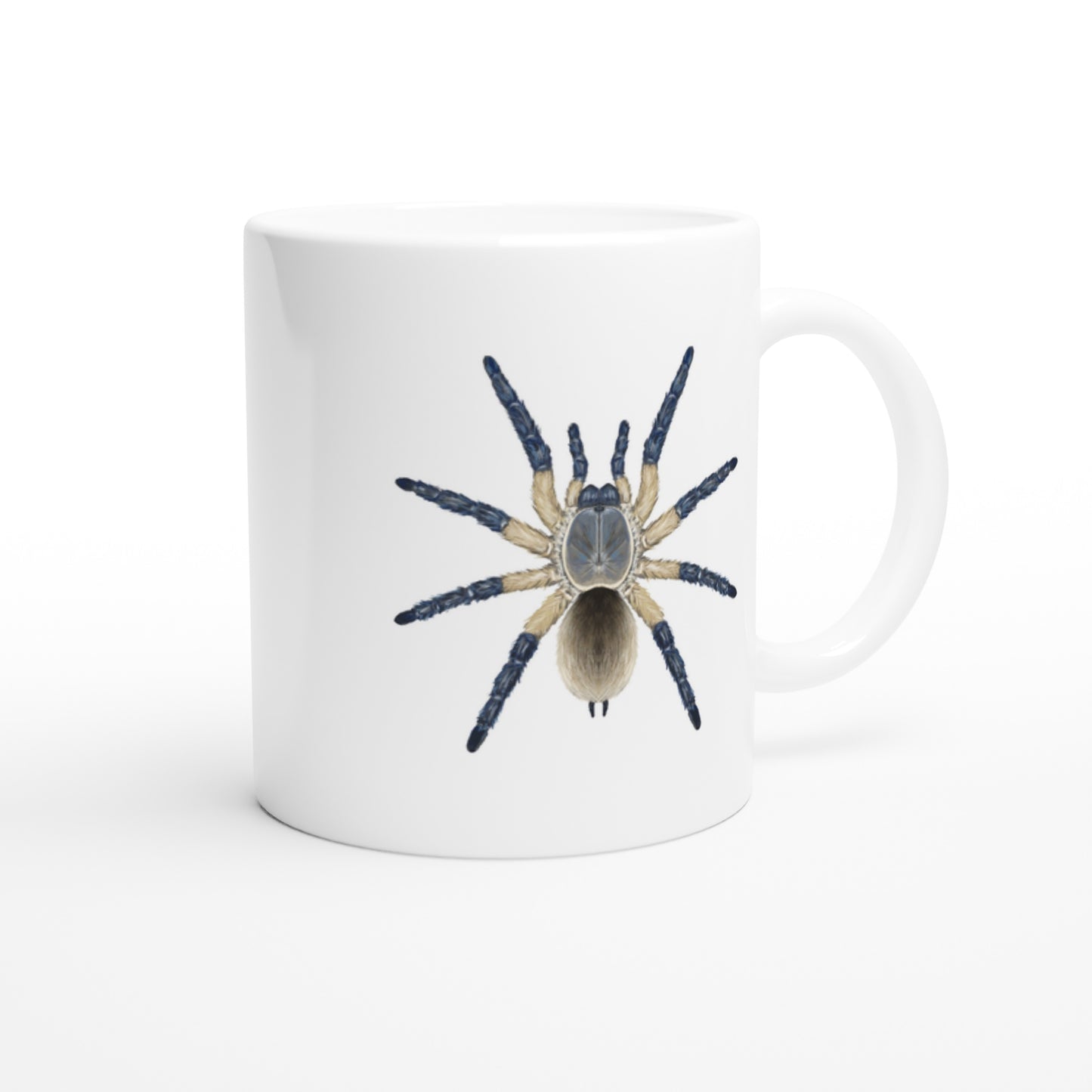 Socotra Island Blue Baboon Tarantula, Monocentropus Balfouri, Ceramic Graphic Mug