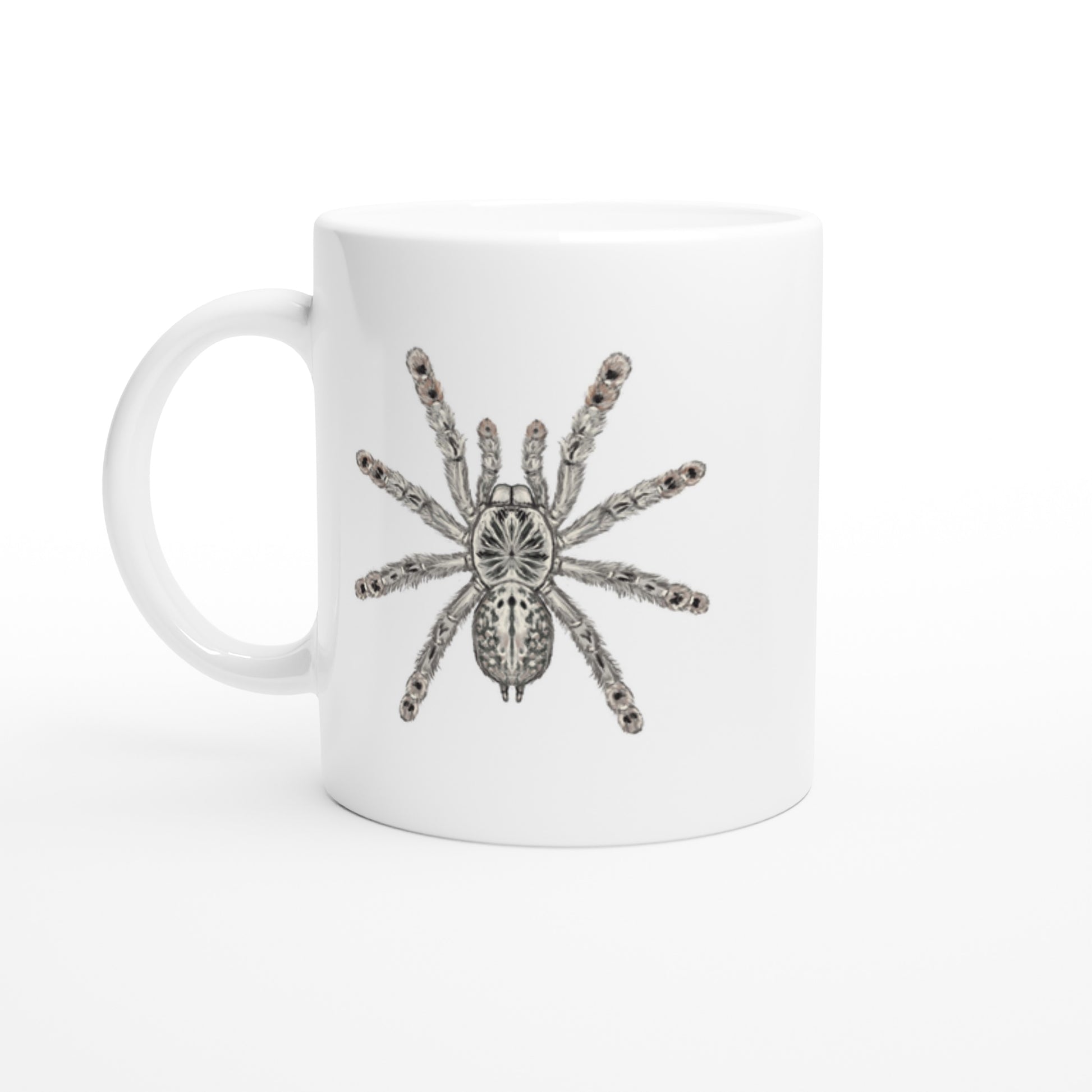 Togo Starburst Tarantula, Heteroscodra Maculata, Ceramic Graphic Mug from The Silk Ranch