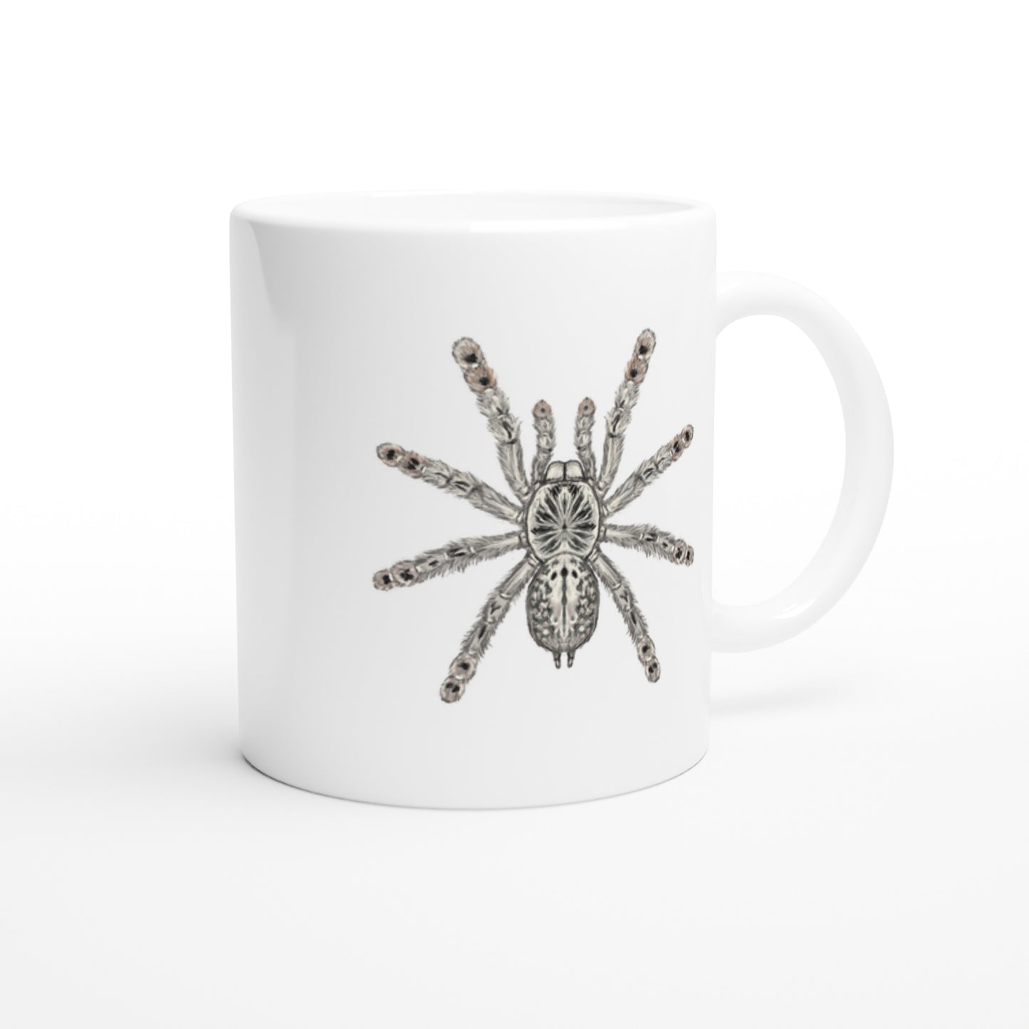 Togo Starburst Tarantula, Heteroscodra Maculata, Ceramic Graphic Mug from The Silk Ranch