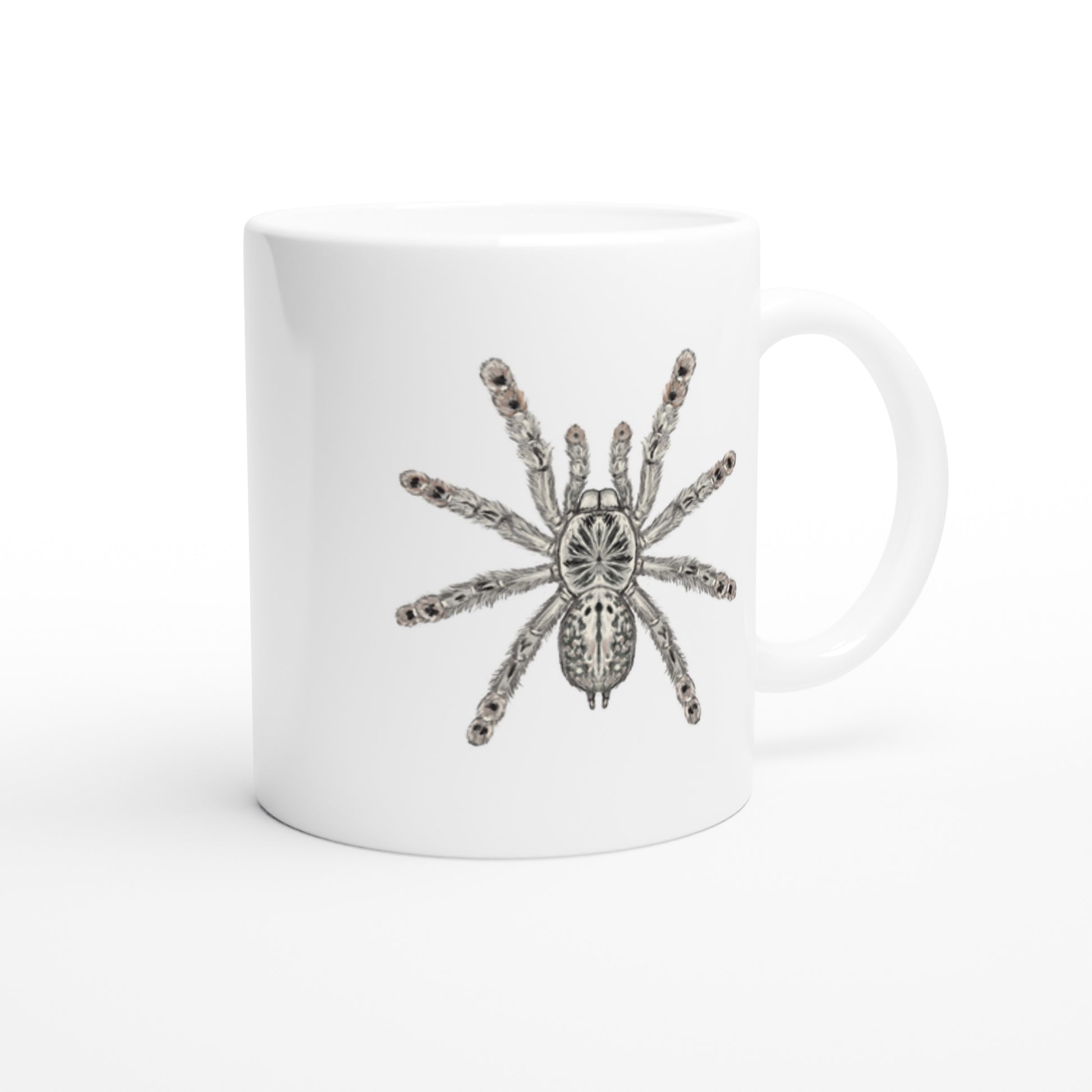 Togo Starburst Tarantula, Heteroscodra Maculata, Ceramic Graphic Mug from The Silk Ranch
