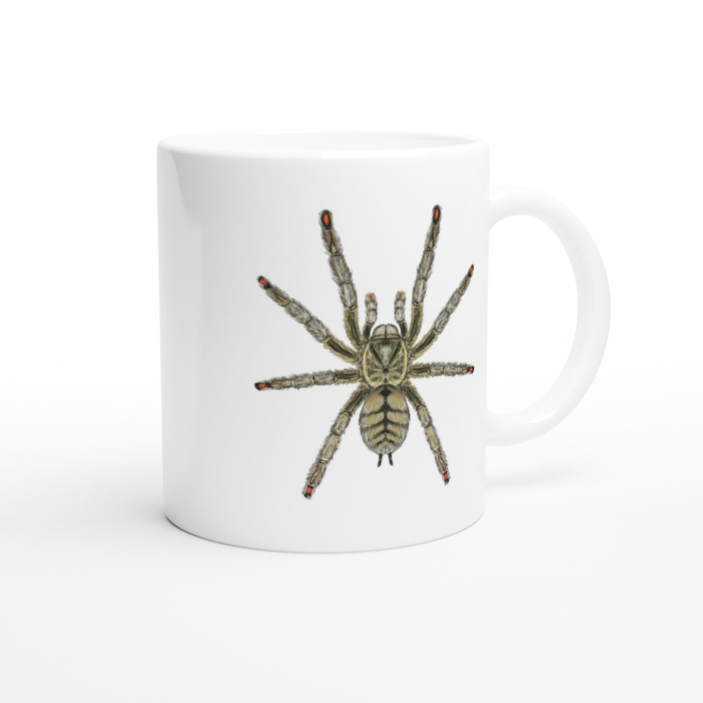 Trinidad Chevron Tarantula, Psalmopoeus Cambridgei, Ceramic Graphic Mug